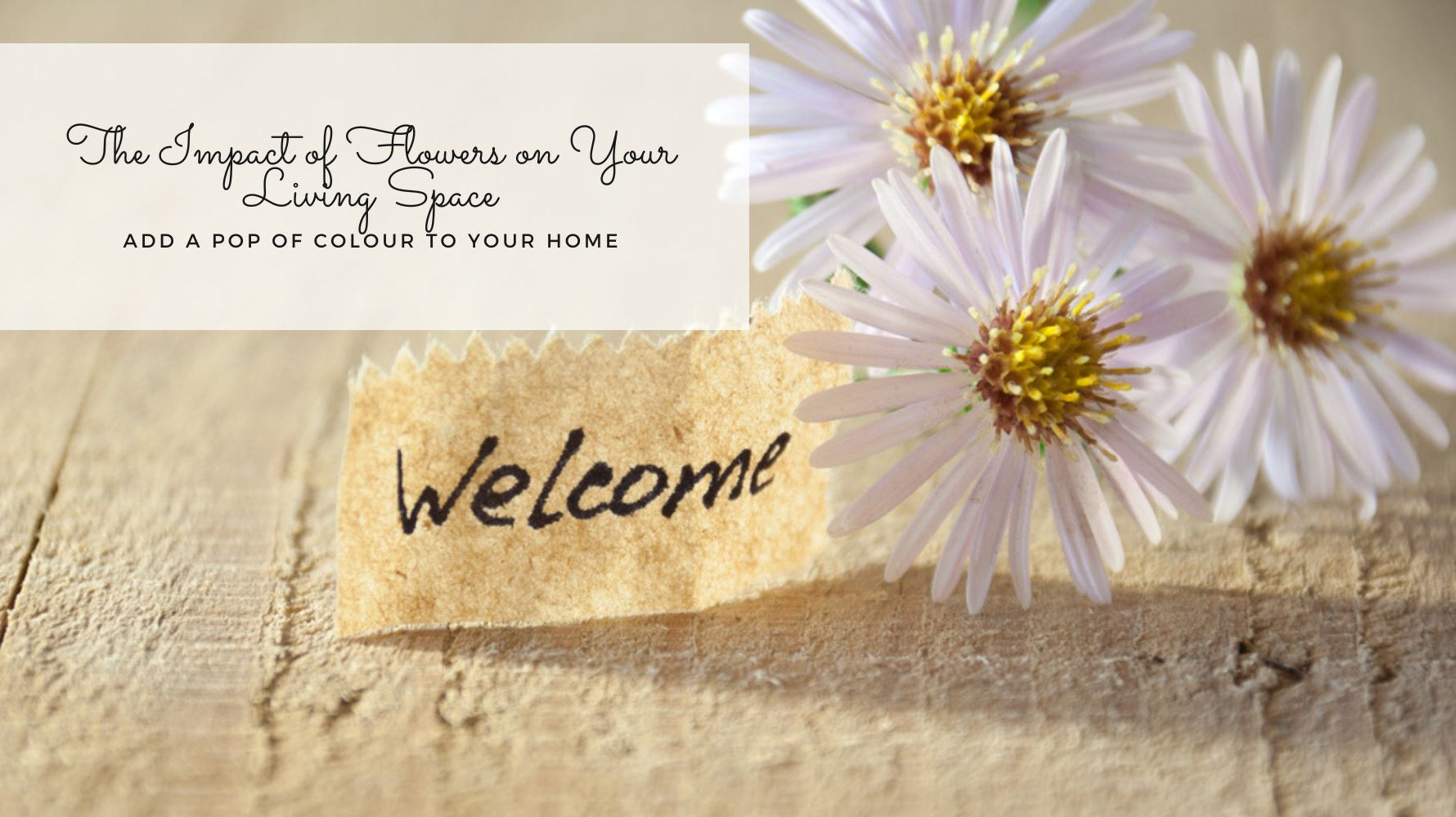 Add a pop of colour to your home blog thumbnail picture