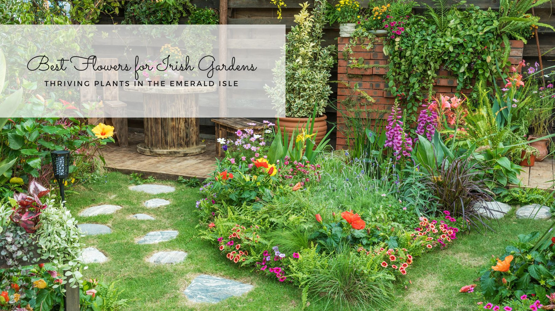 best flowers for Irish gardens blog thumbnail image