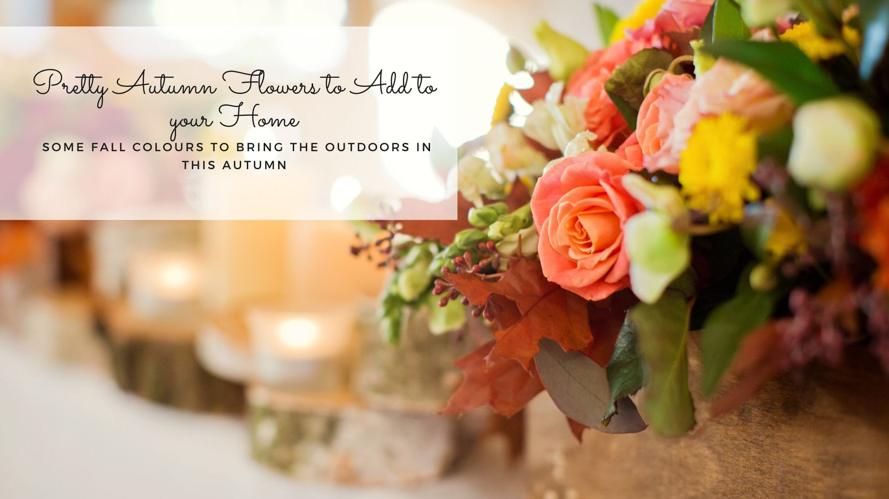 Pretty Autumn flowers to add colour to your home blog thumbnail image