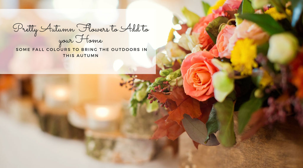 Pretty Autumn flowers to add colour to your home blog thumbnail image
