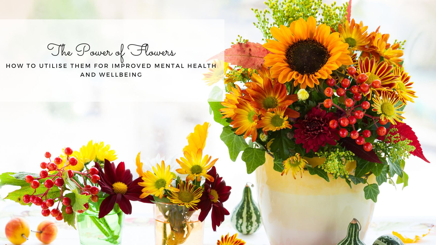 The power of flowers blog thumbnail image