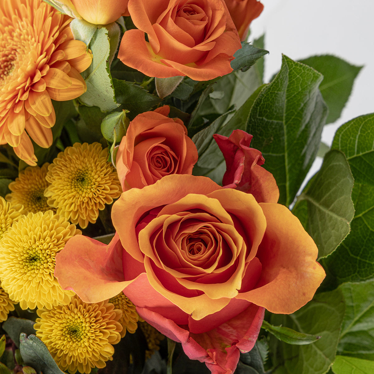 Close up view of Citrus bouquet and prosecco bottle