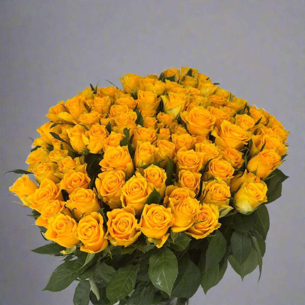 Bouquet of yellow roses on a gray background