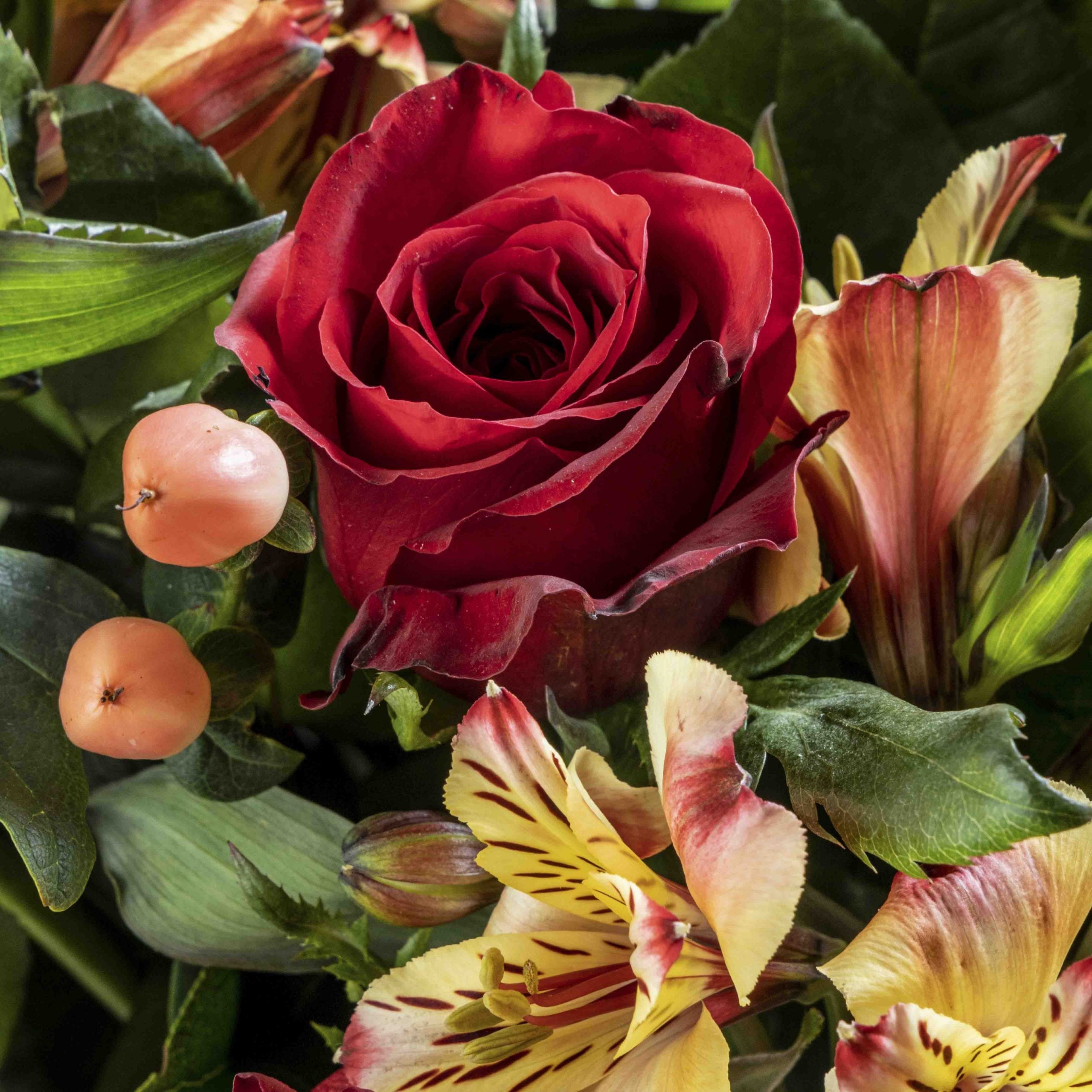 Close up of red rose from Dreamcatcher flower bouquet