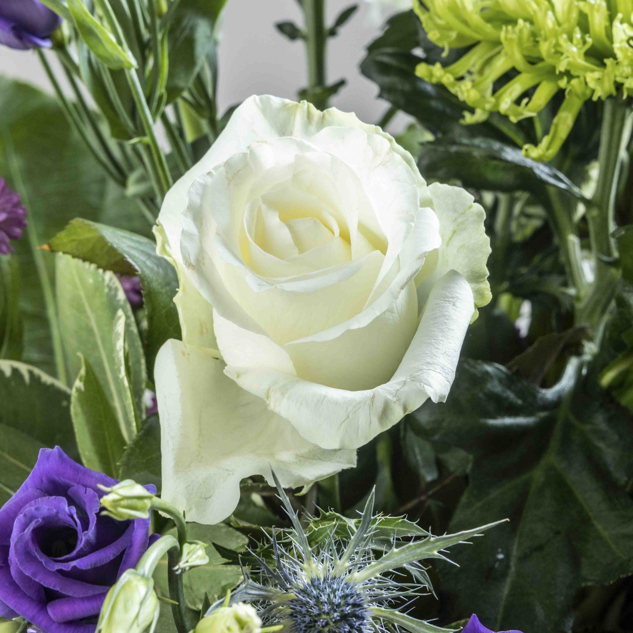 Close up of white rose from New Moon flower bouquet