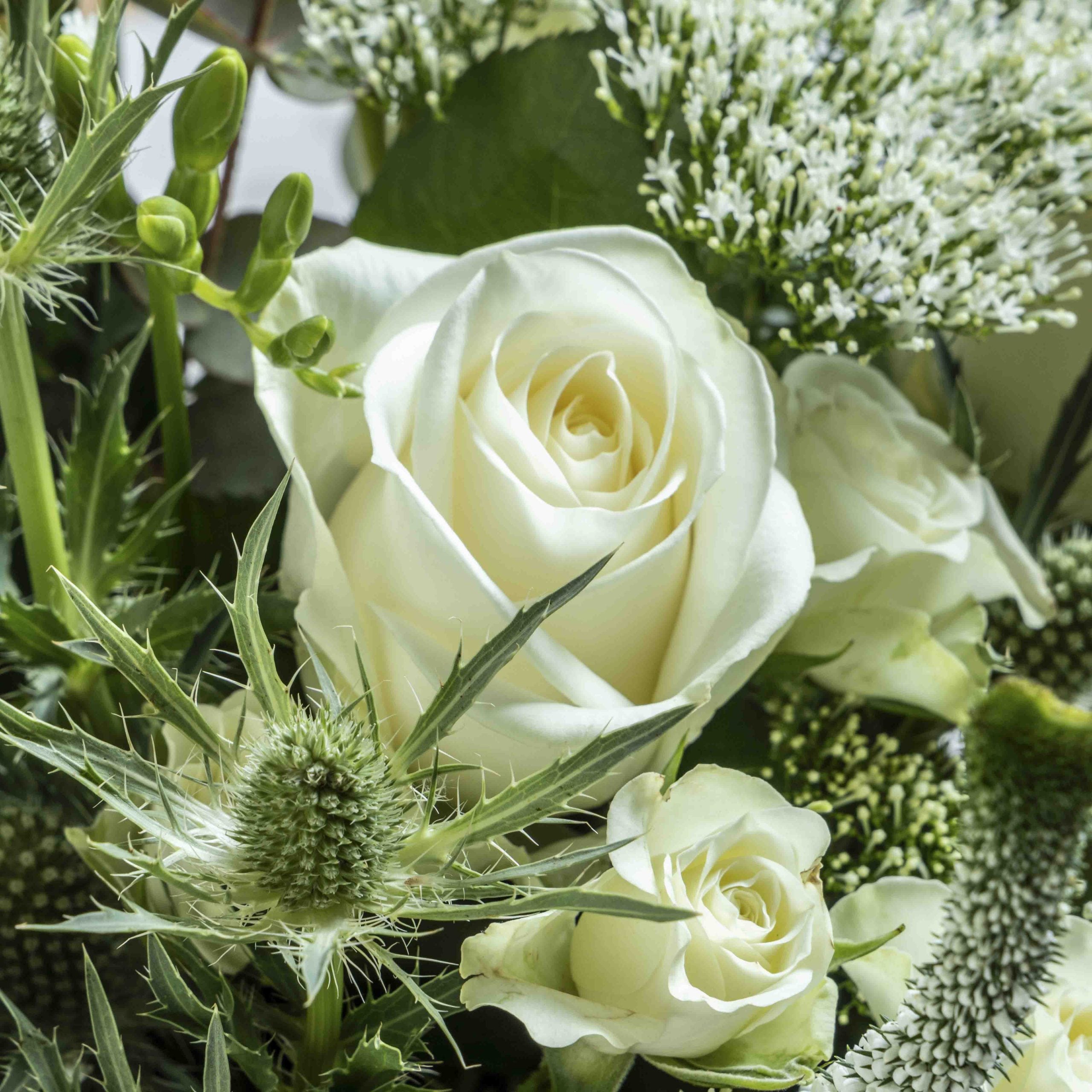 Close up of a white rose from Sea spray flower bouquet in a glass vase