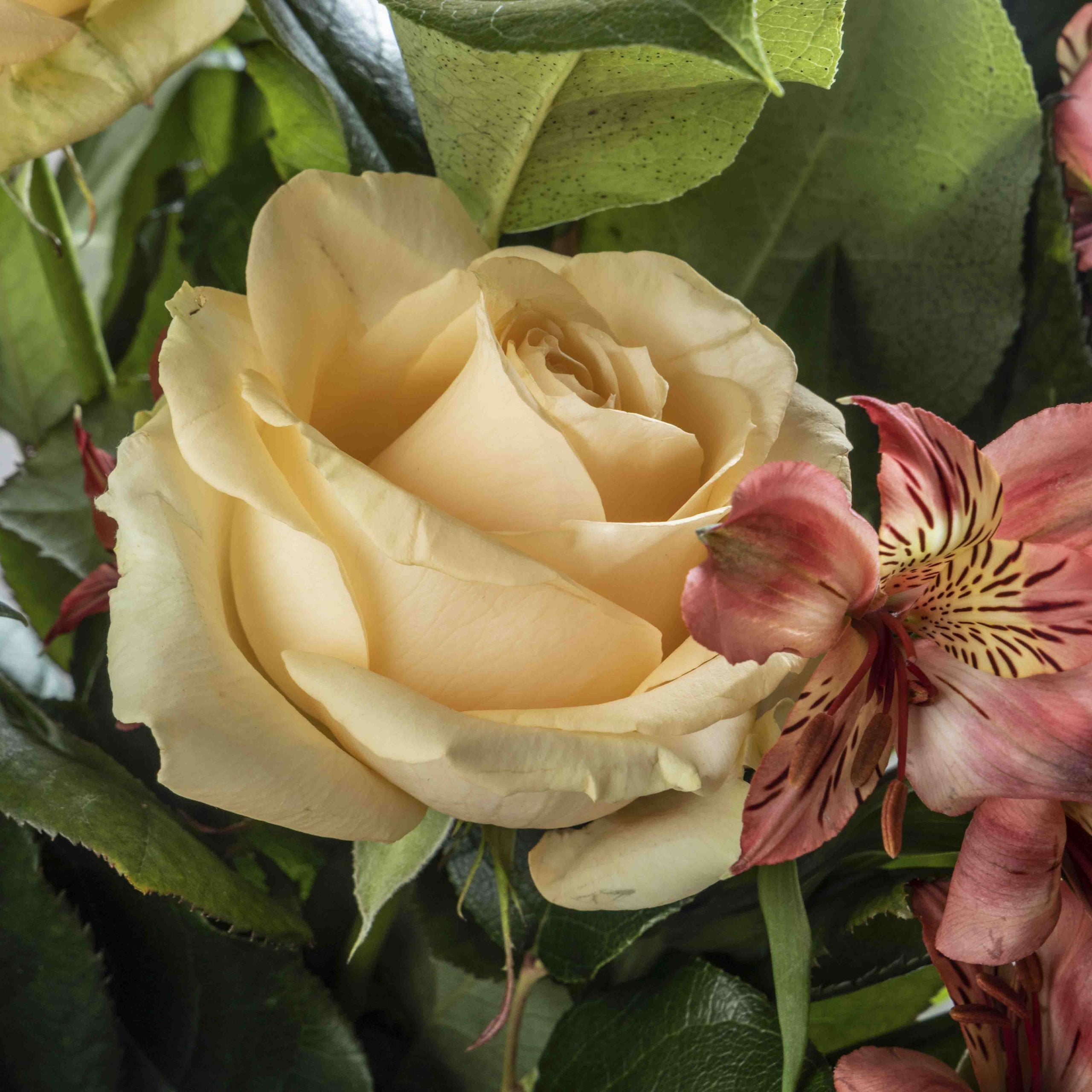 Close up view of Peachy flower bouquet in a glass vase