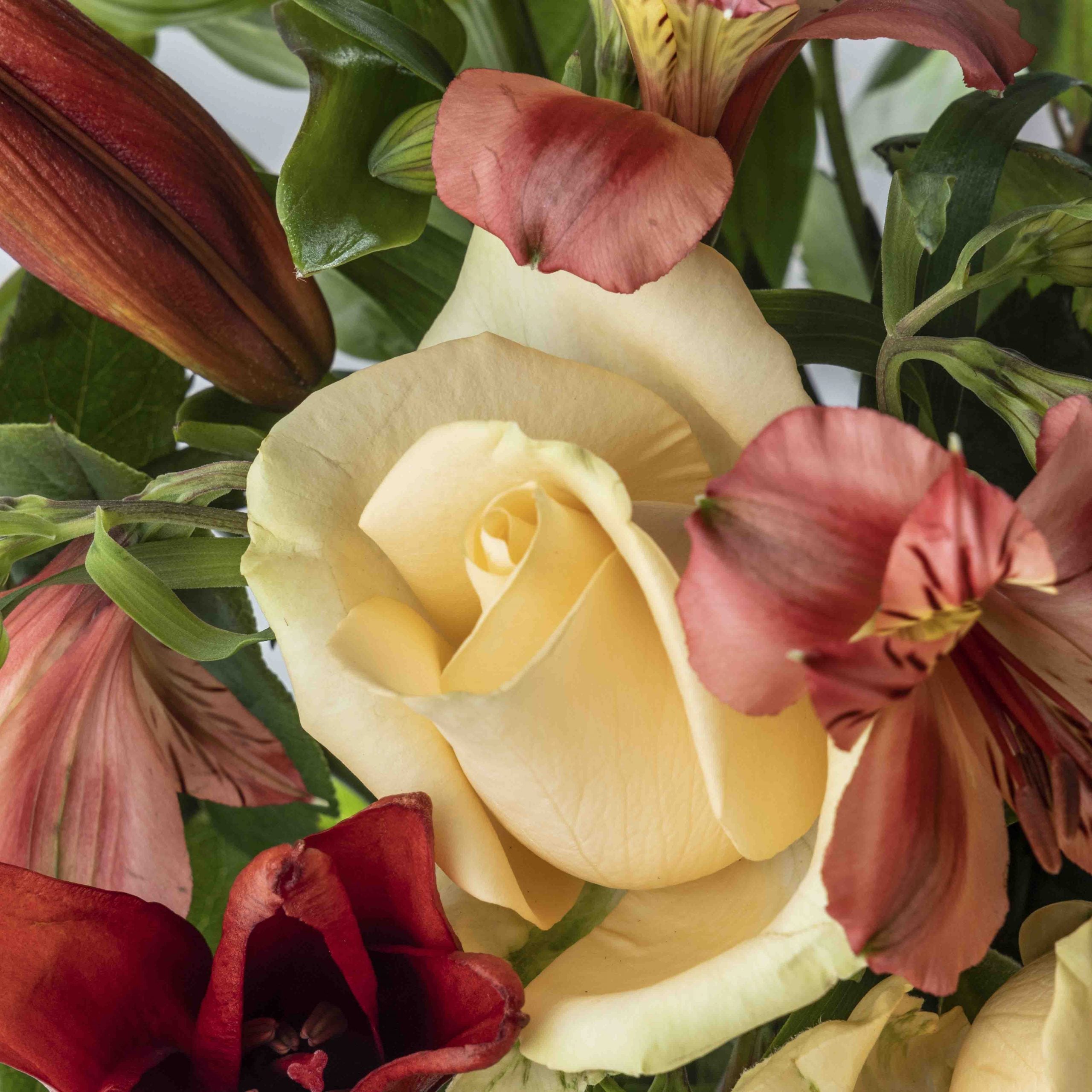 Close up view of a white rose from Peachy flower bouquet in a glass vase
