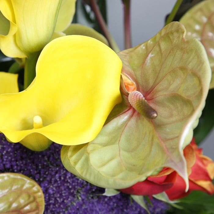 Close up view of Exotic orchid arrangement