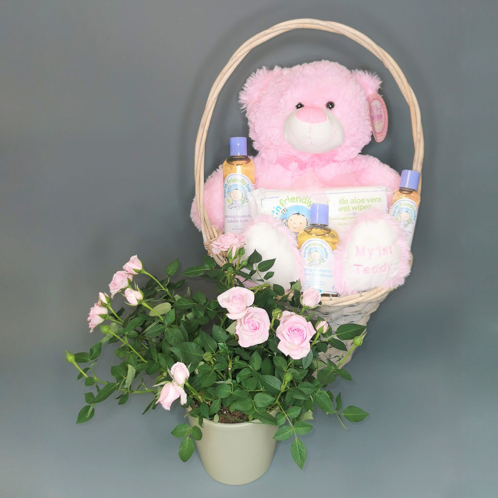 new baby girl gift basket with pink teddy planted roses in a pot baby oils