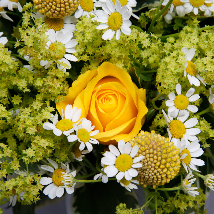 Close up view of a yellow rose from Easter surprise flower bouquet