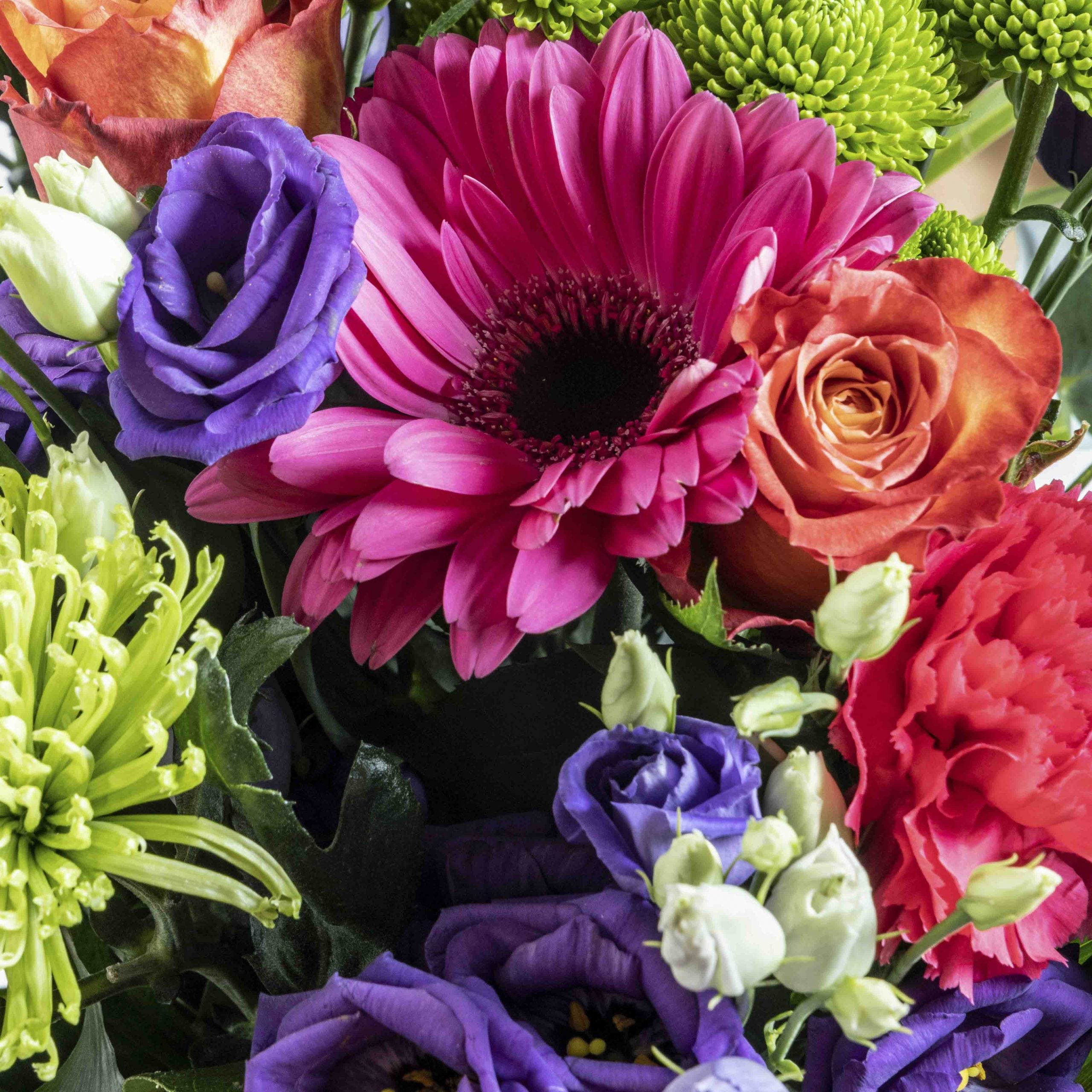 Close up view of Rainbows flower bouquet in a glass vase