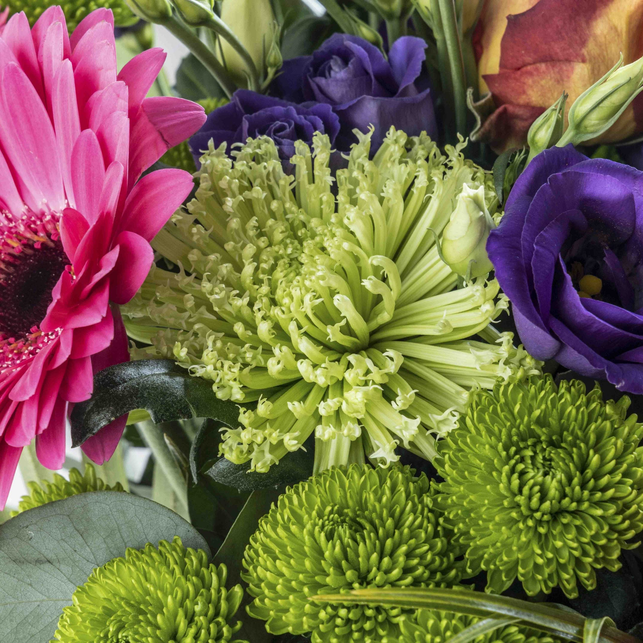 Close up view of green floral element from Rainbows flower bouquet in a glass vase
