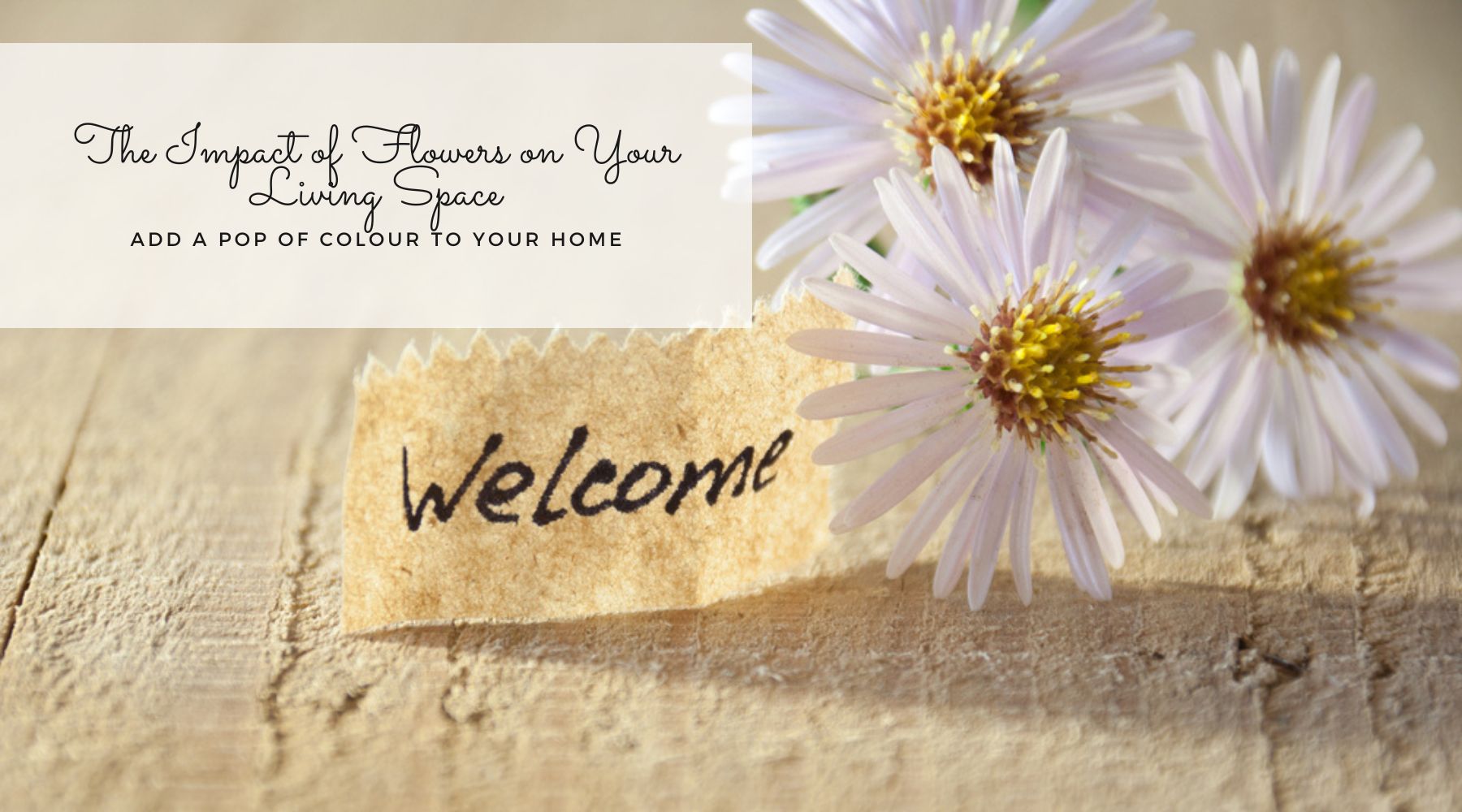 Add a pop of colour to your home blog thumbnail picture