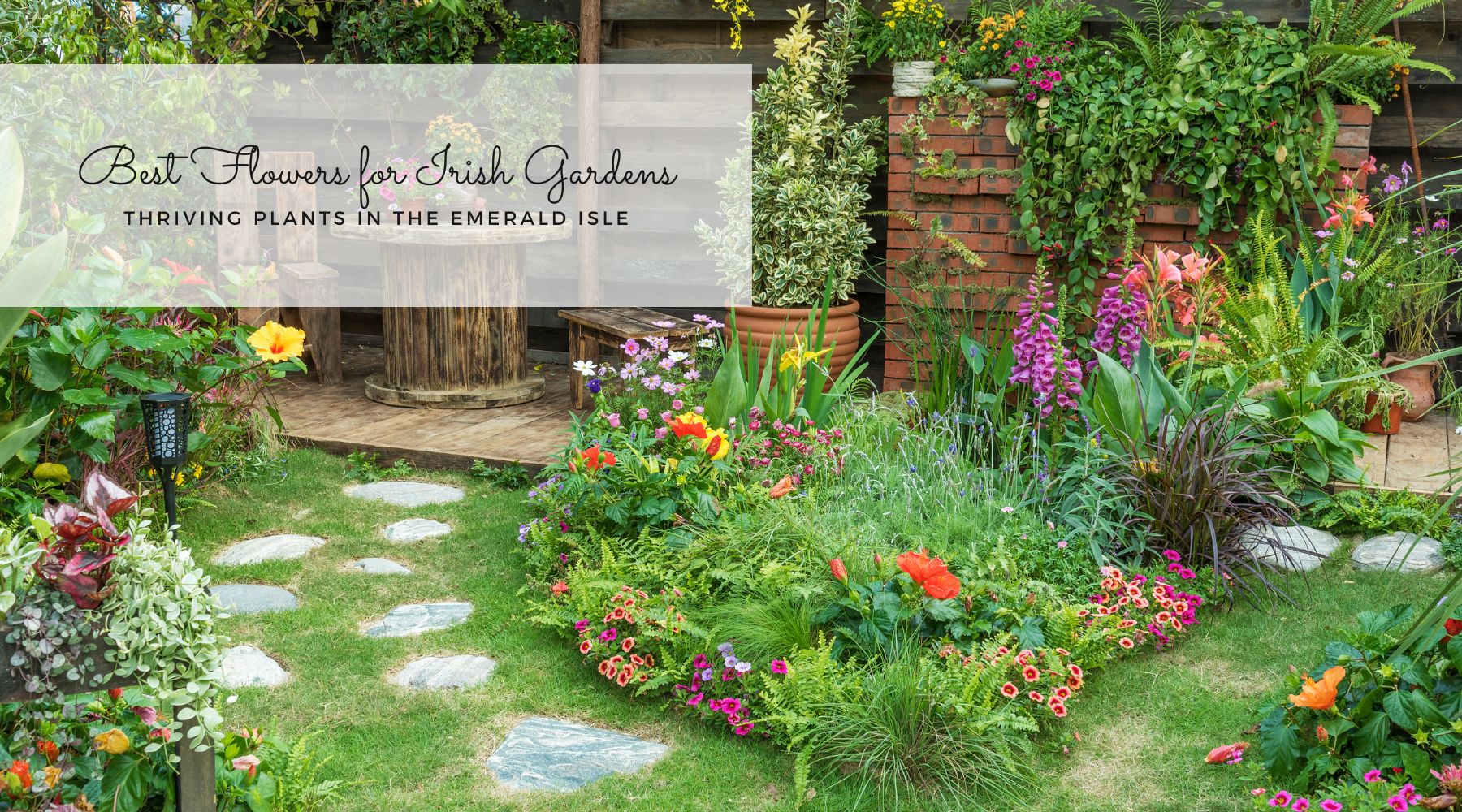 best flowers for Irish gardens blog thumbnail image