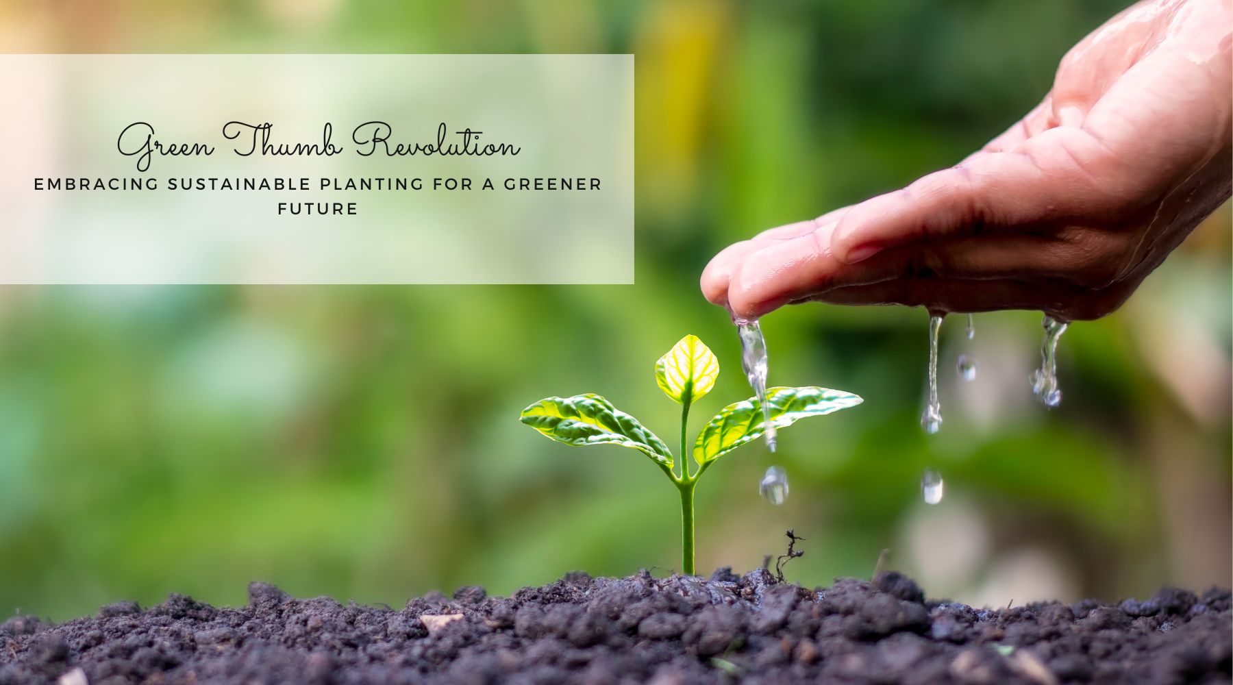 Green thumb revolution sustainable planting blog thumbnail image