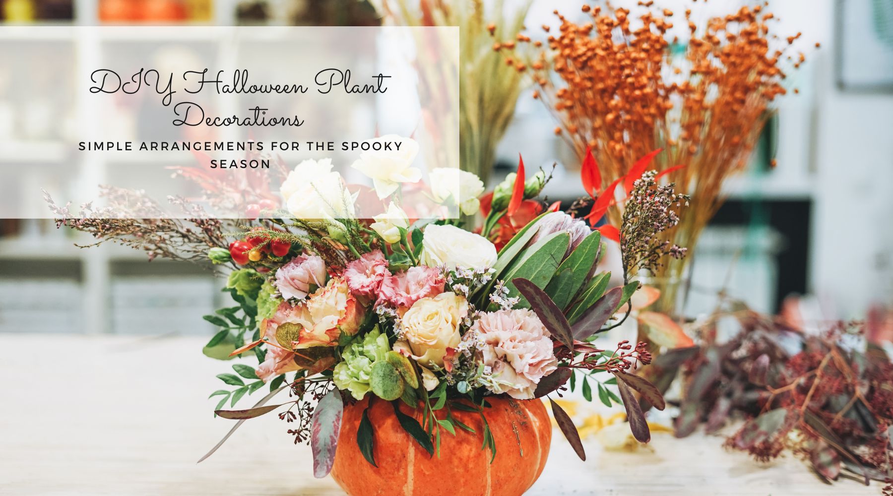 Halloween plant decorations blog thumbnail image