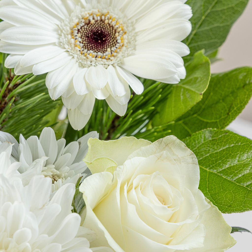 Close up view of Christmas white roses bouquet with periage prosecco