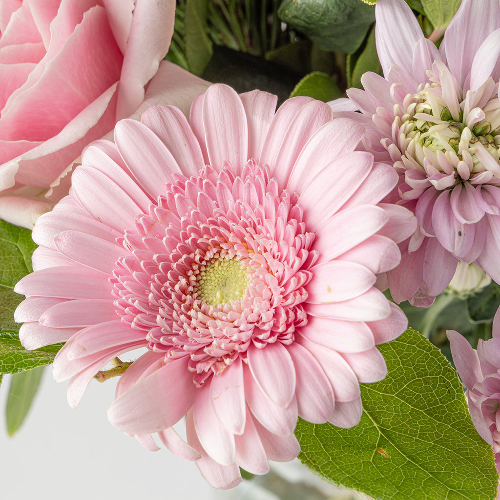 Close up view of other floral elements from Christmas pink roses bouquet in a glass vase