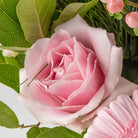 Close up of a pink rose from Christmas pink roses bouquet in a glass vase