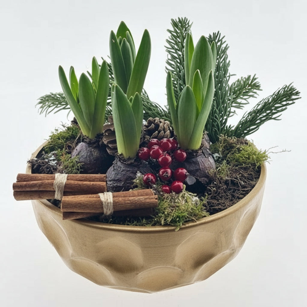 Decorative bowl with plants, cinnamon sticks, and berries on a white background
