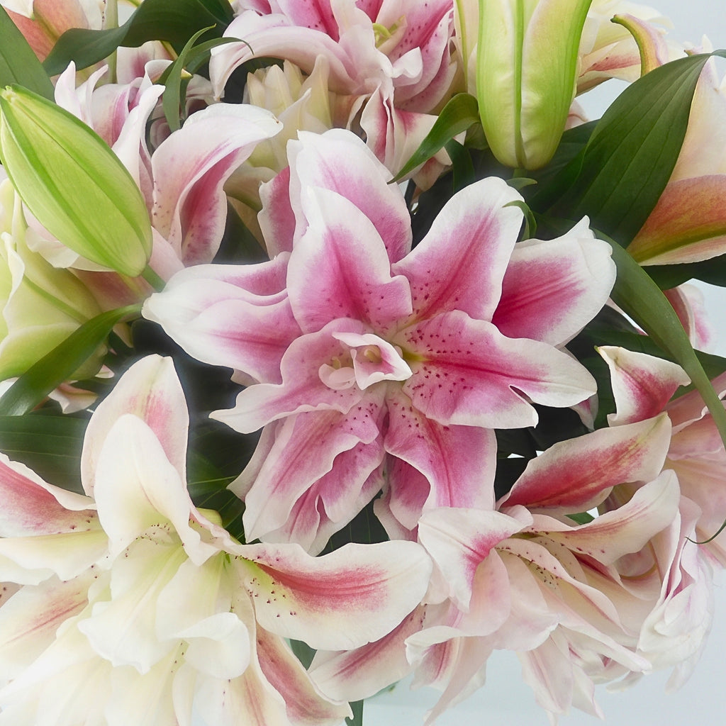 Close up view of Rose lilies bouquet in a glass vase
