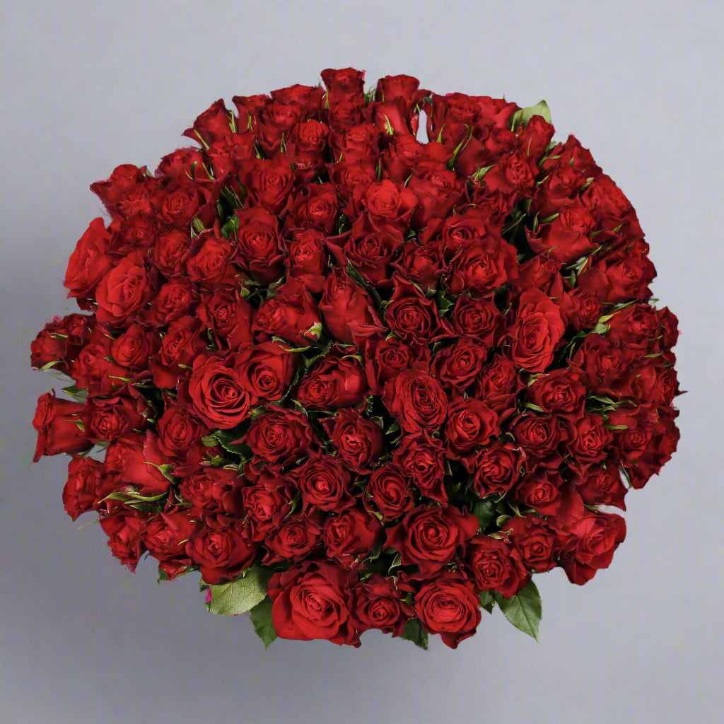 Top down view of 100 red roses flower bouquet