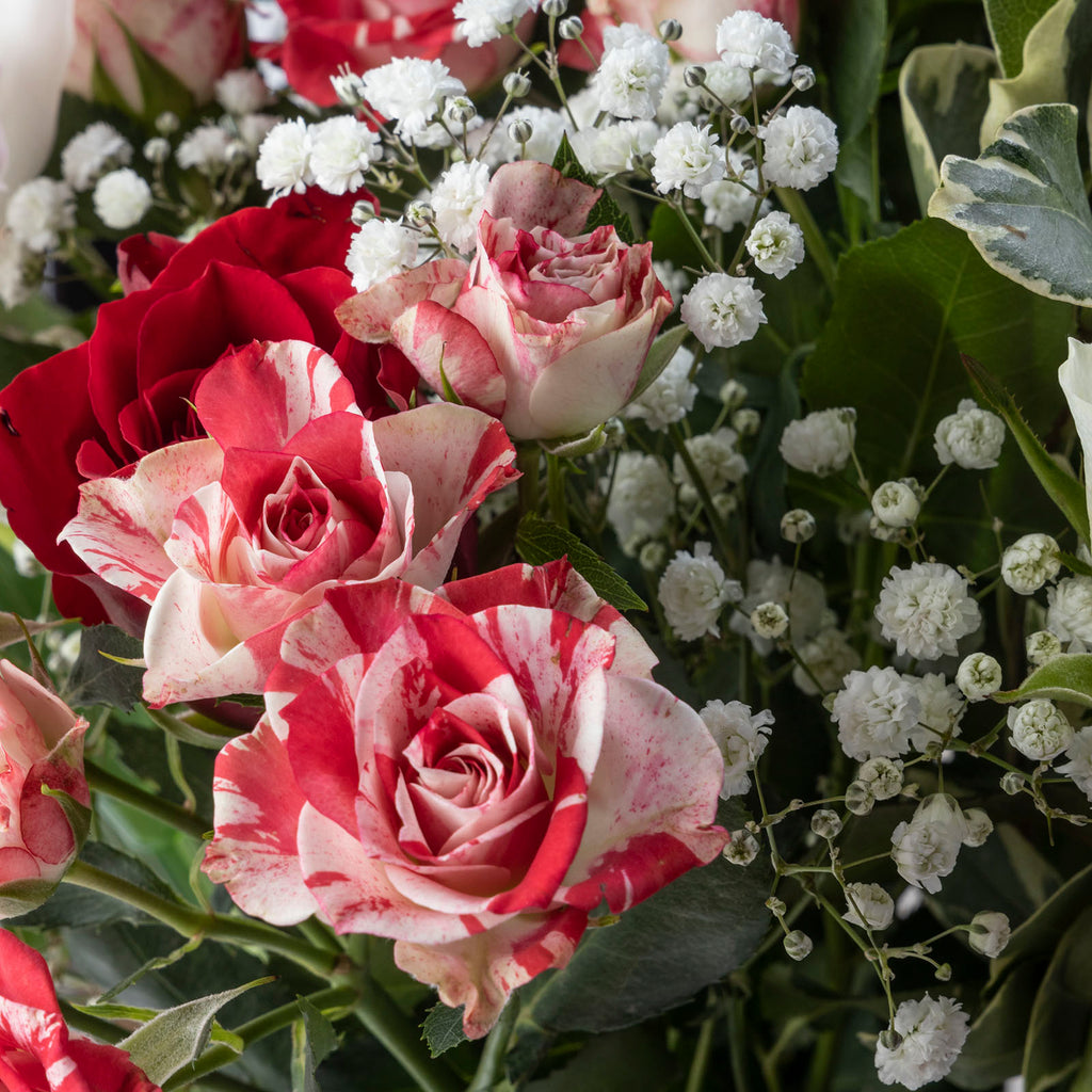 Close up view of Christmas Sparkle flower bouquet with speckled red and white roses