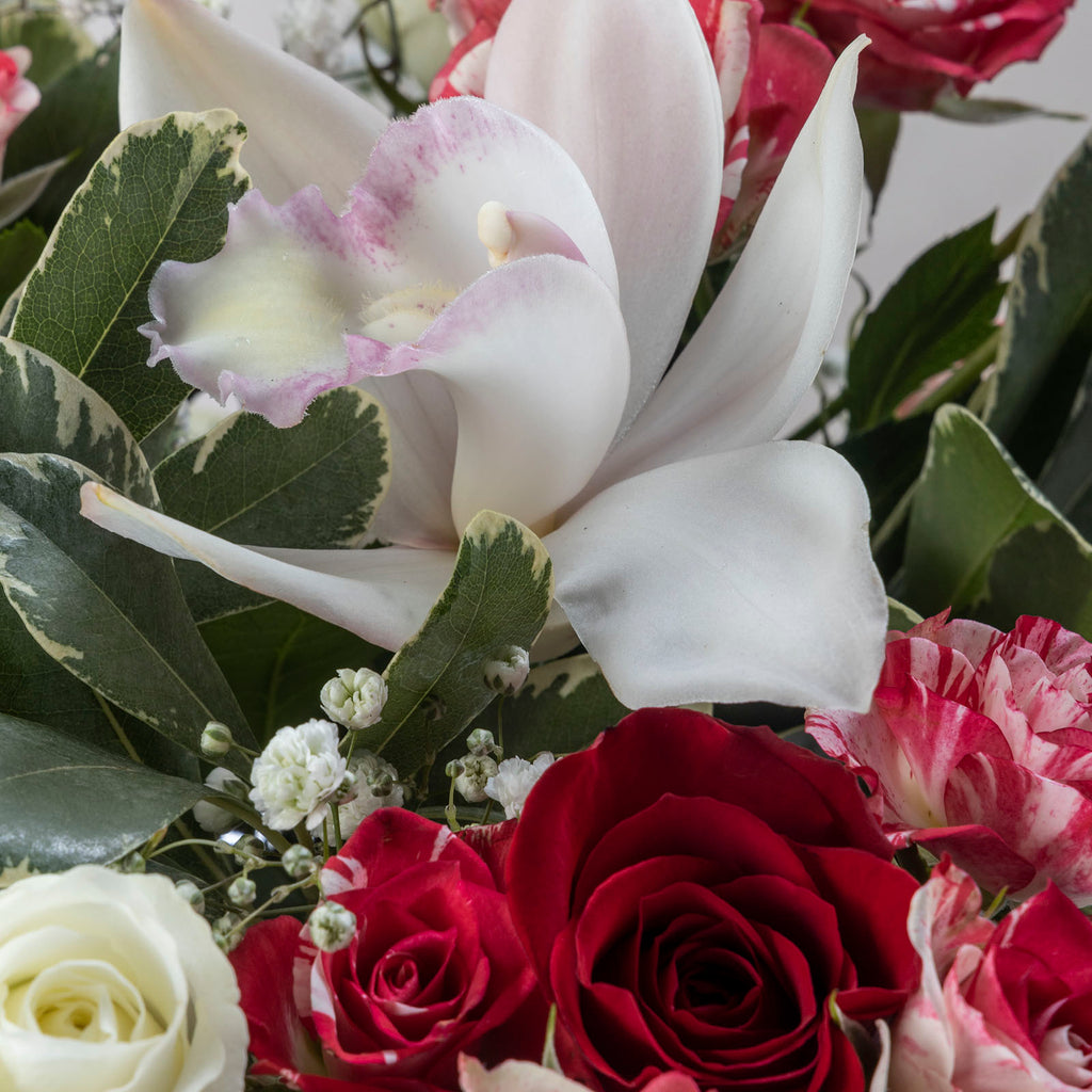 Close up view of white flower from Christmas Sparkle flower bouquet with speckled red and white roses