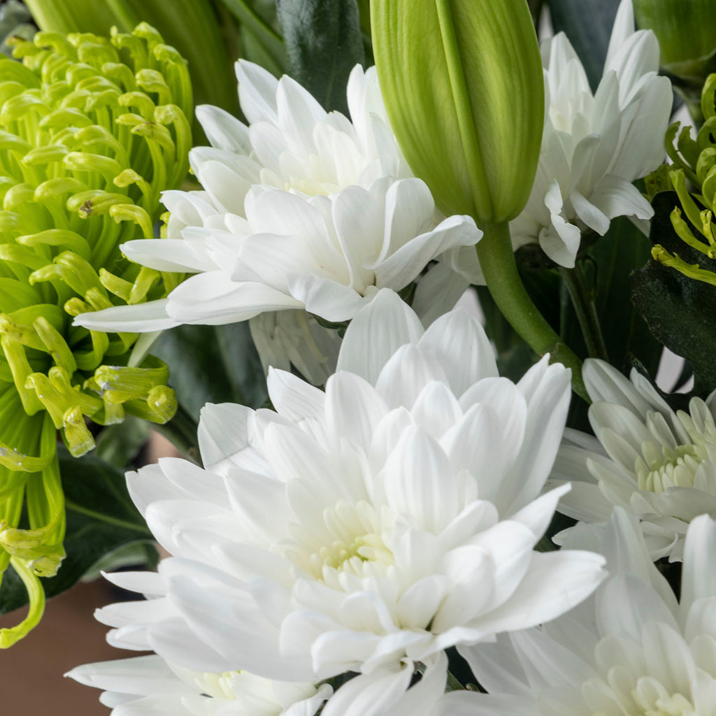 Close up view of white flowers from Christmas Snowdrift bouquet with white roses