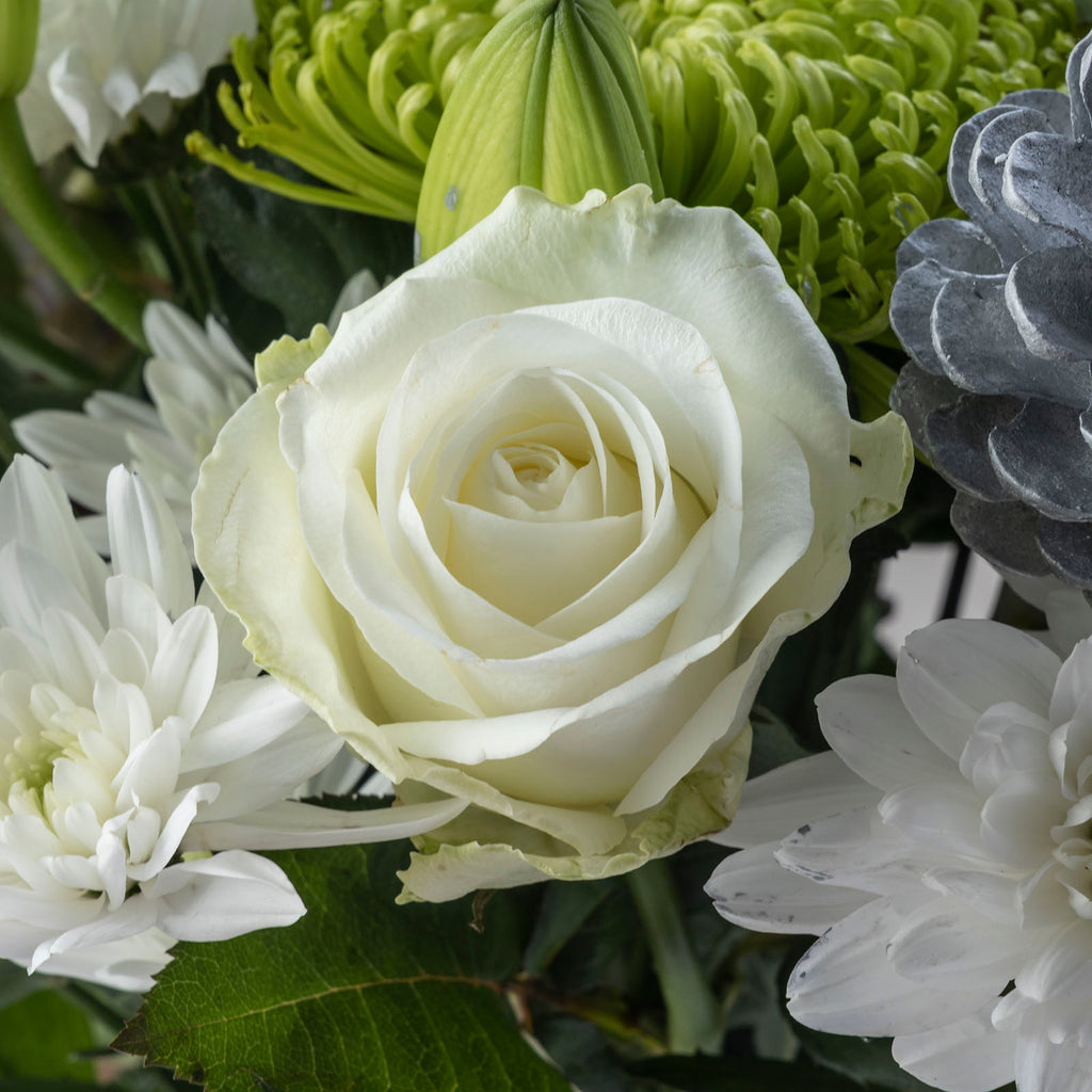 Close up of white rose from Christmas Snowdrift bouquet with white roses