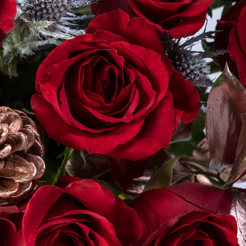 Close up view of a red rose from Christmas velvet red roses bouquet