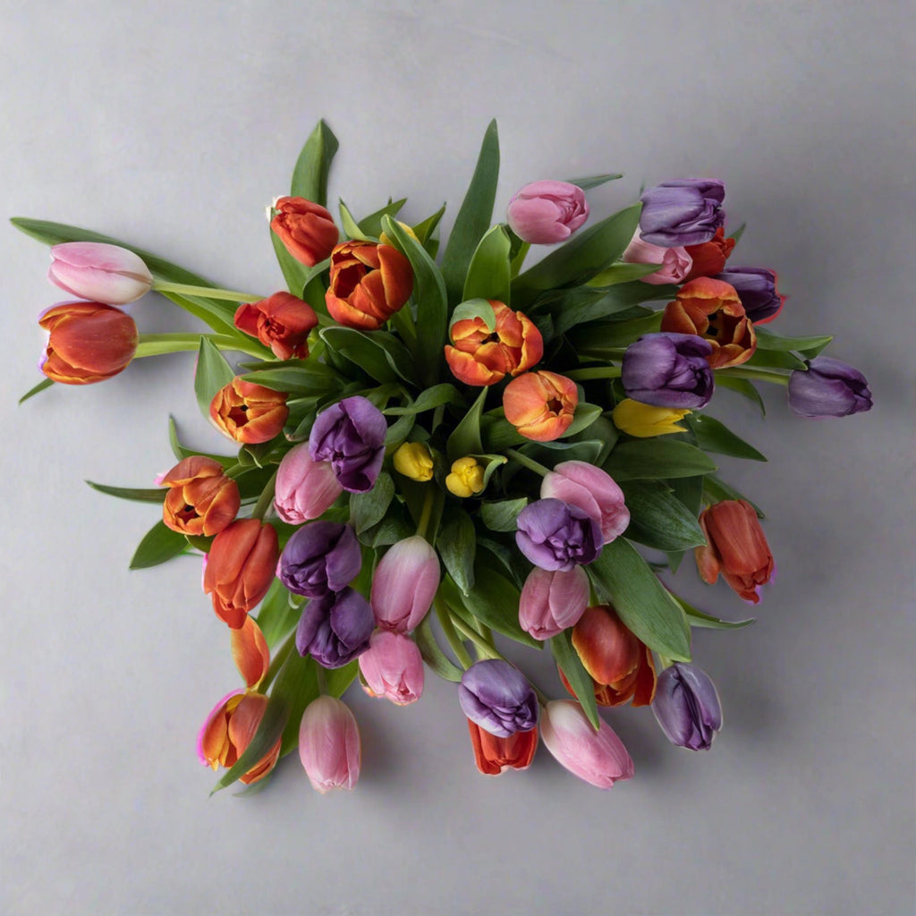 Top down view of mixed tulips flower bouquet