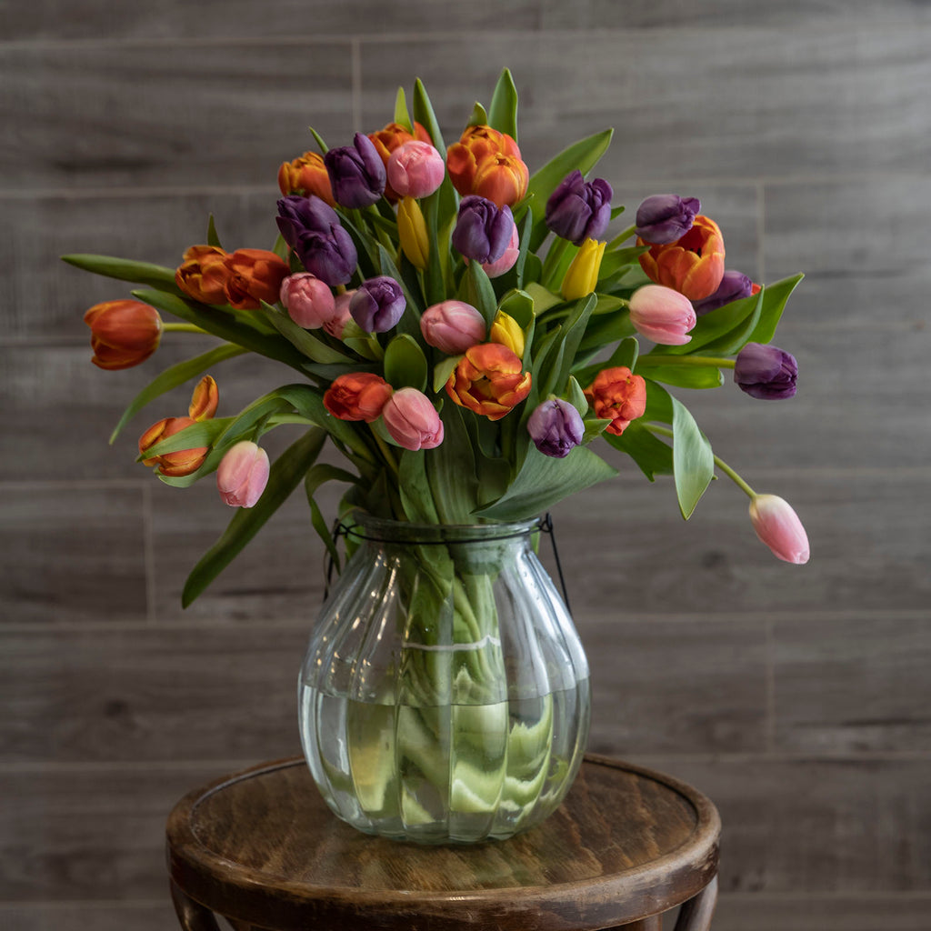 Lifestyle picture of mixed tulips flower bouquet
