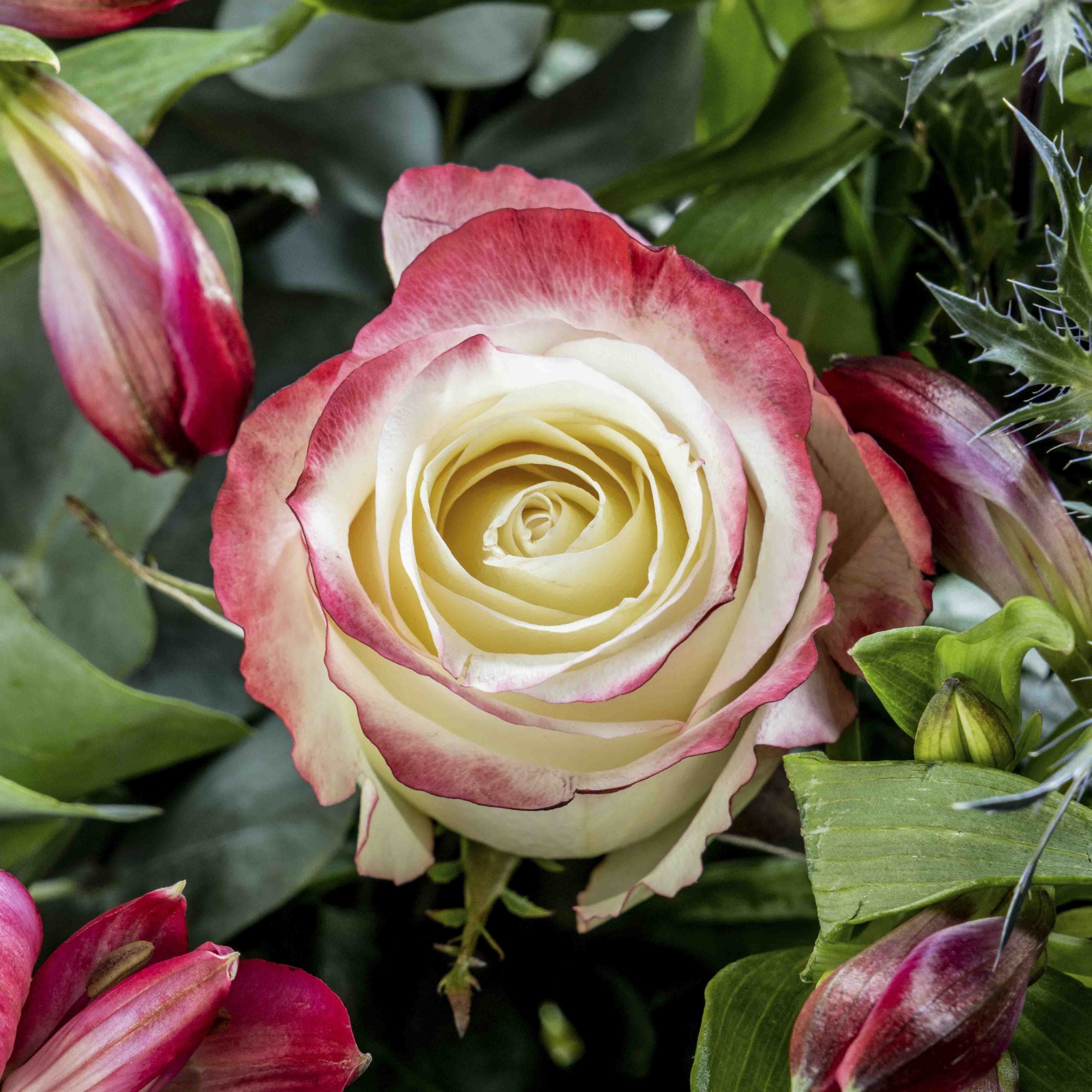 Close up of a rose from Sweetness rose flower bouquet in a glass vase