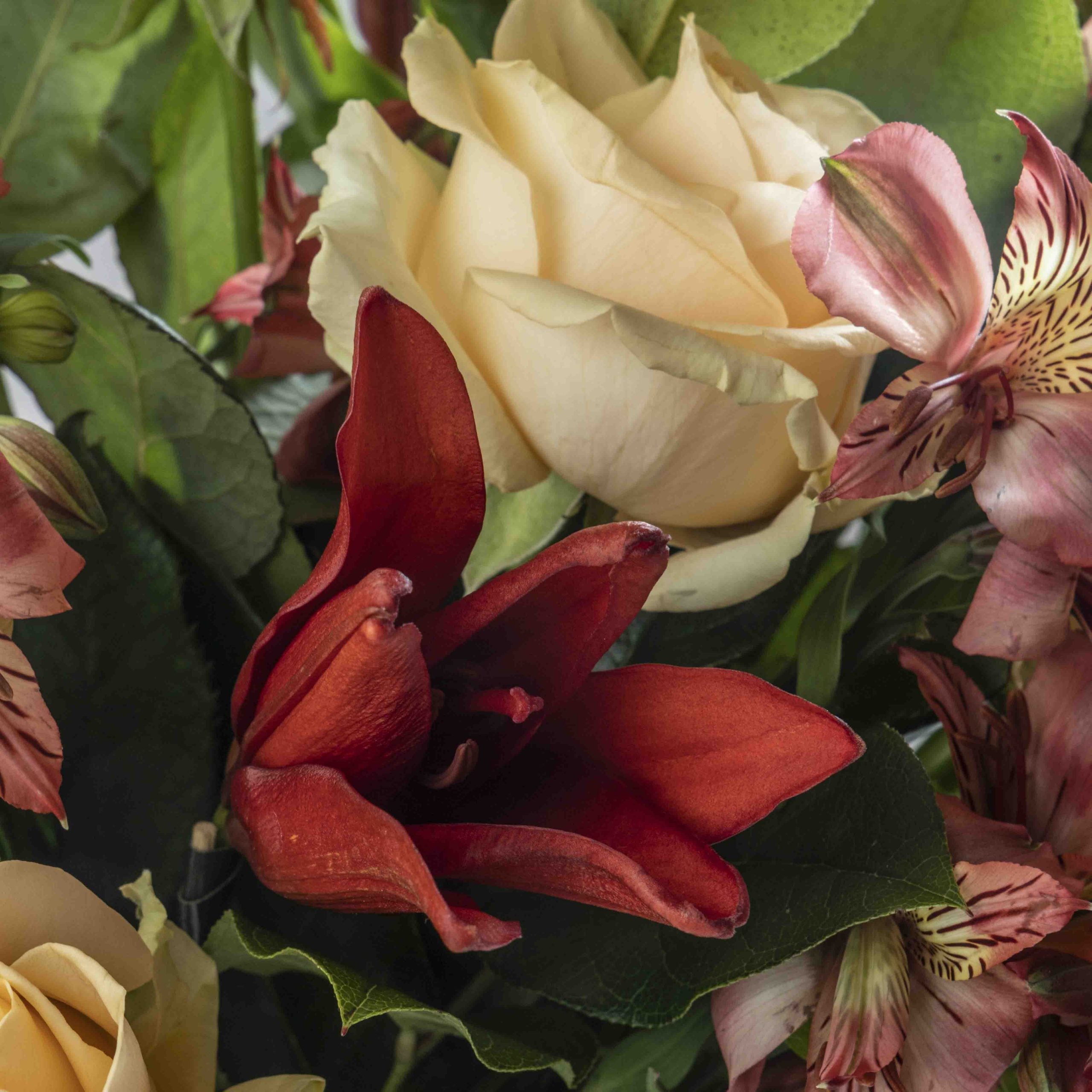 Close up view of red flower from Peachy flower bouquet in a glass vase