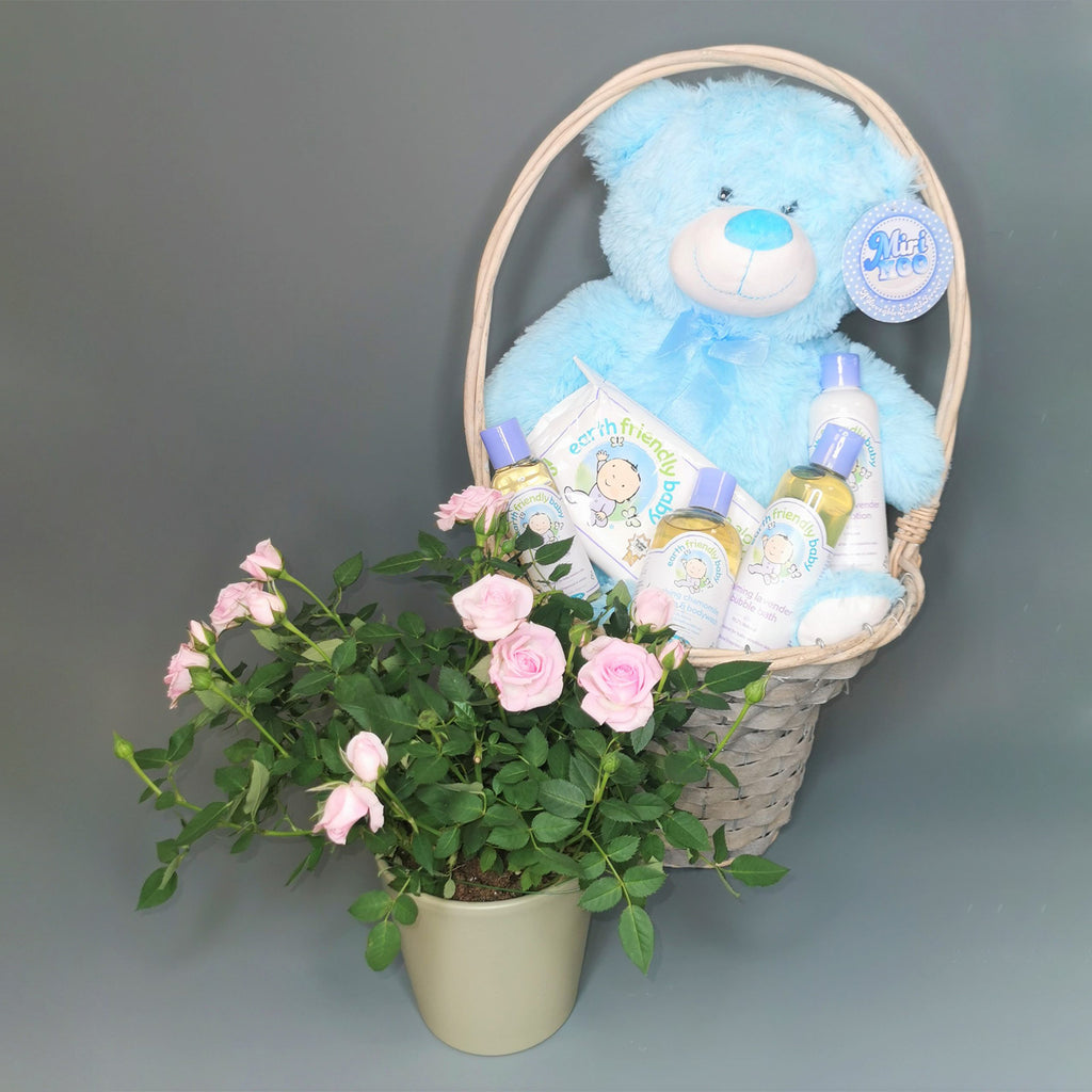 new baby boy gift basket with blue teddy planted roses in a pot baby oils