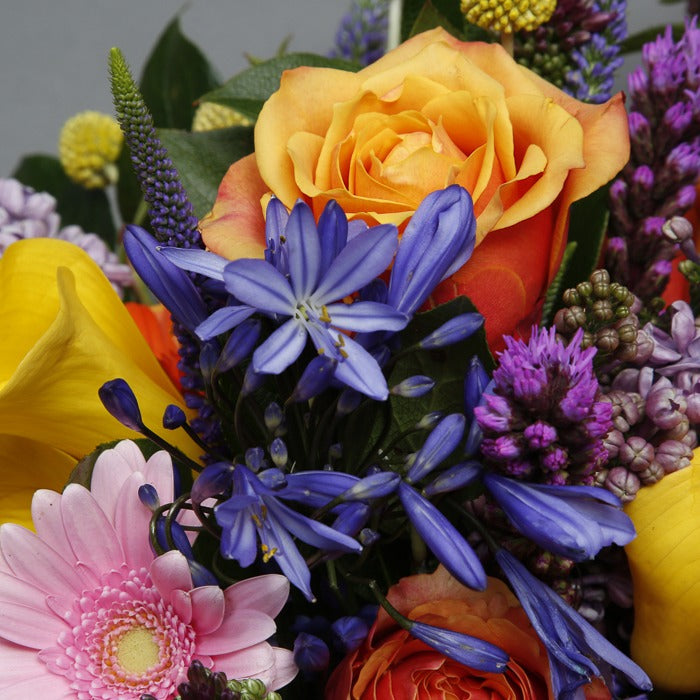 Close up view of rose from mixed flower funeral spray