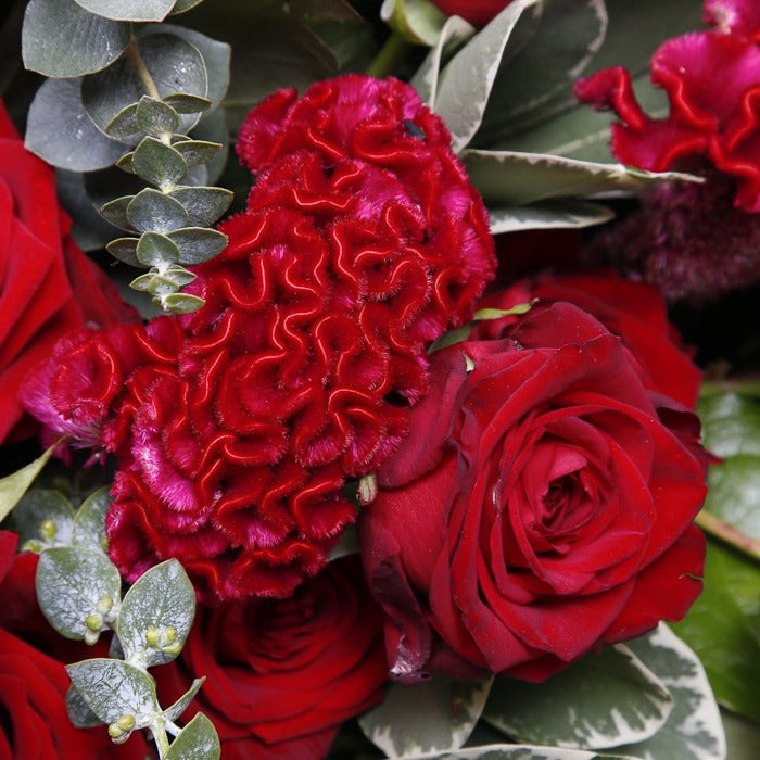 Close up of red rose funeral spray