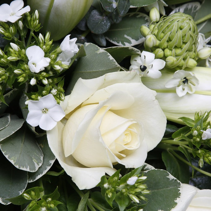Close up view of White sympathy funeral spray