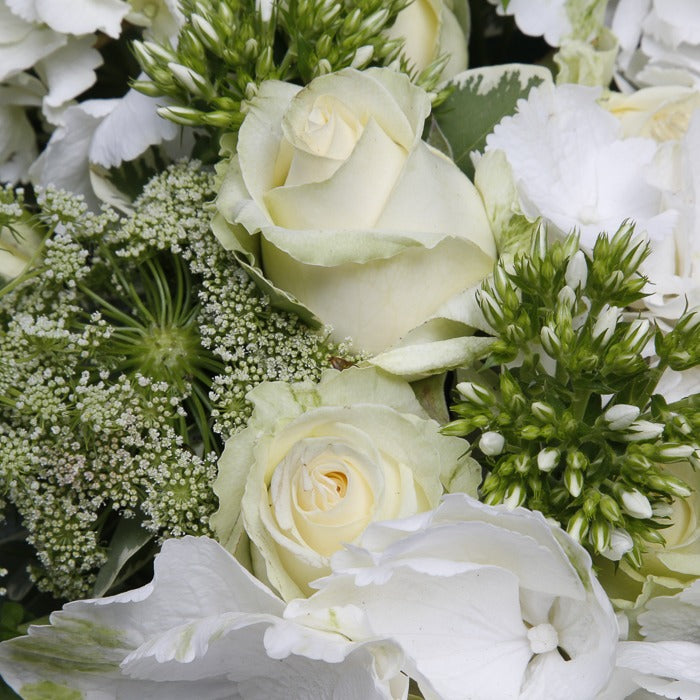 Close up of roses from white funeral wreath