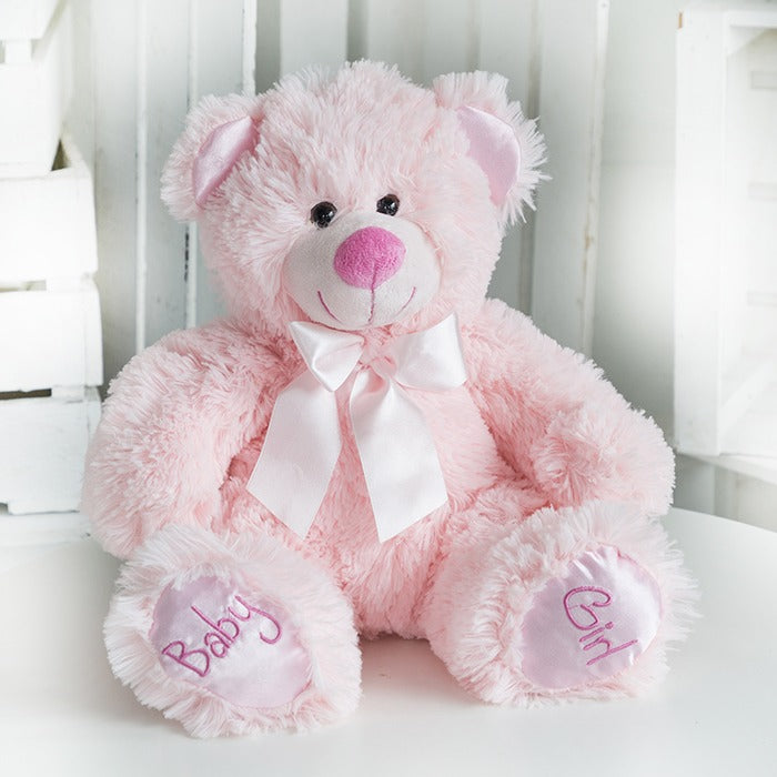 Baby Girl pink Teddy
