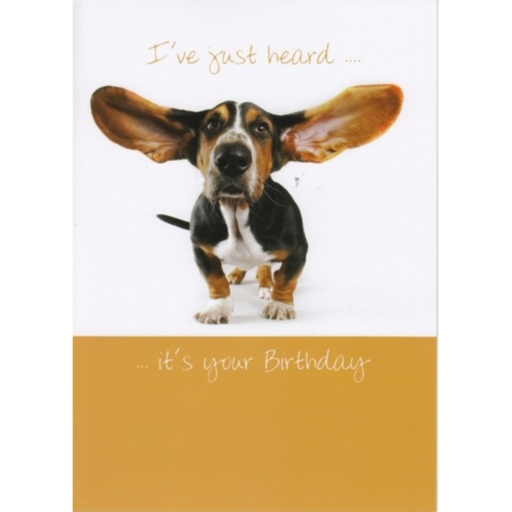 Birthday gift card with a dog on the front