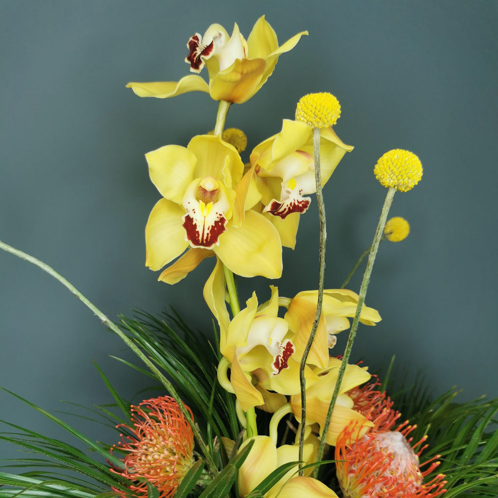 Close up view of Yellow orchids flower bouquet
