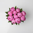 peony flowers